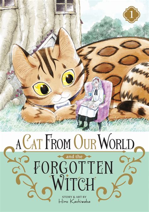 Parallel Worlds: The Meeting of a Cat from Our World and the Forgotten Witch